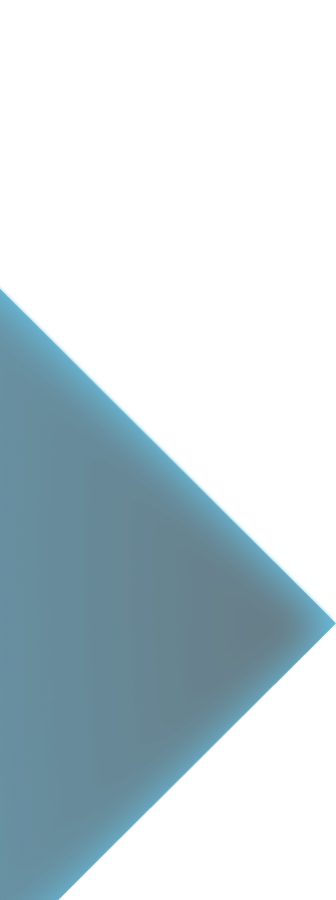 Donor Funded Services